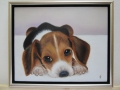 69. 2014 hondje Ruth paneel 24x30